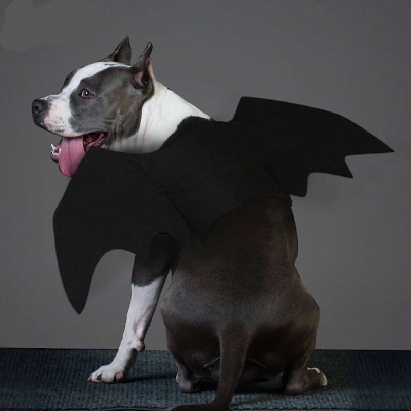 Bat Wings Pet Costume