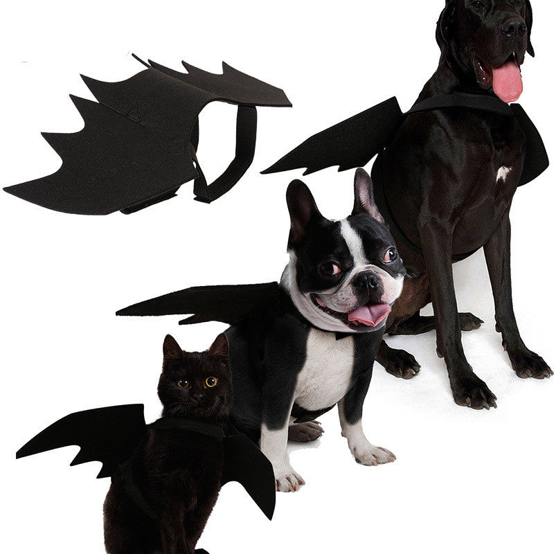 Bat Wings Pet Costume