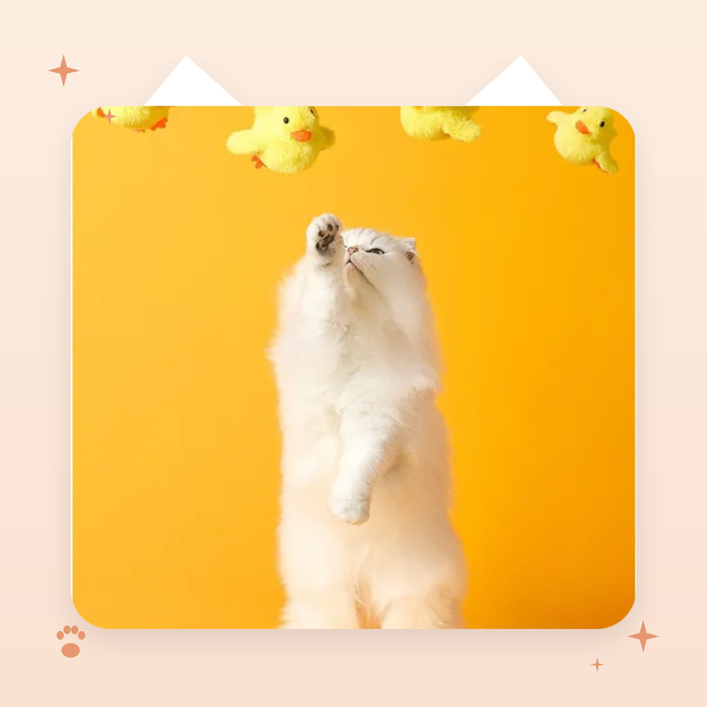 Wiggling Duck Cat Toy
