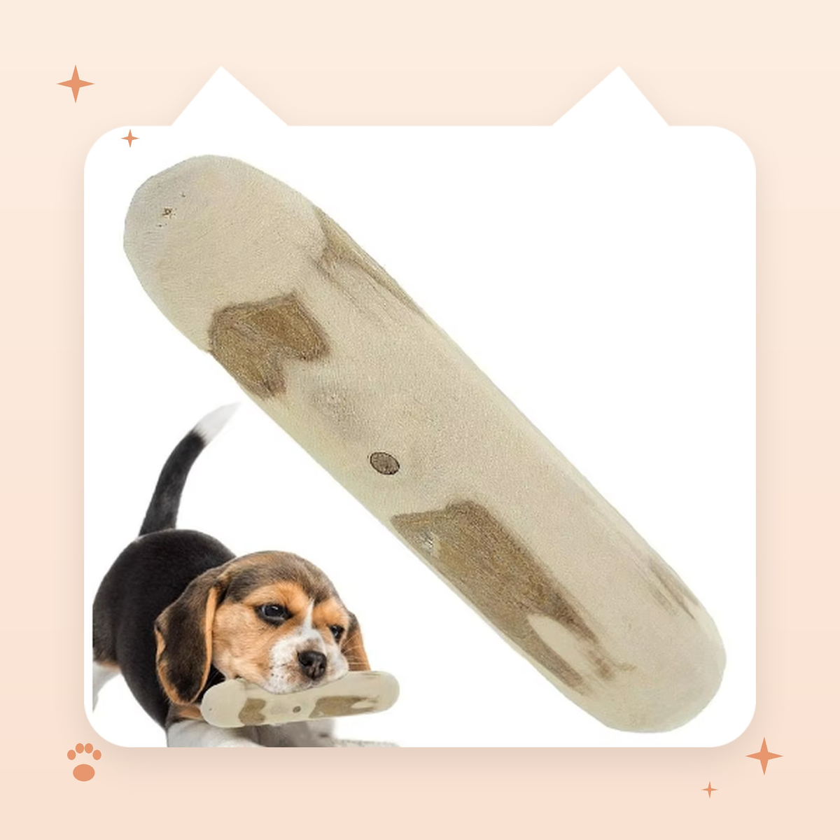 Coffee Wood Chew Stick