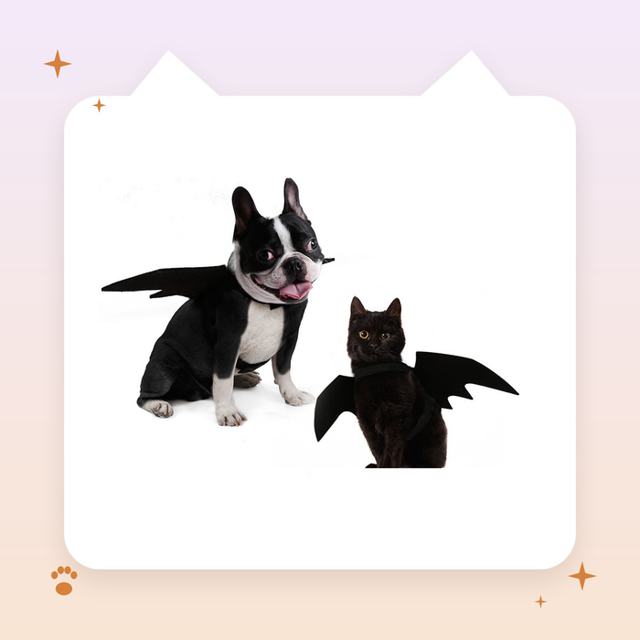 Bat Wings Pet Costume