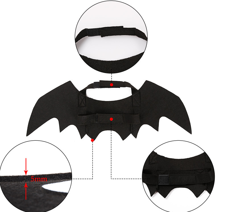 Bat Wings Pet Costume