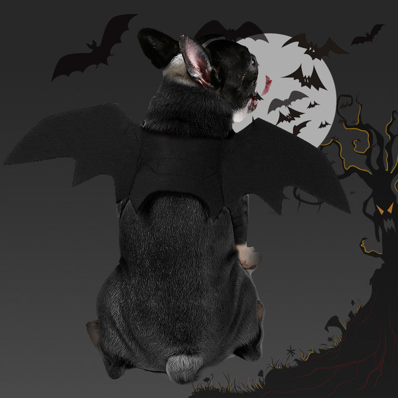 Bat Wings Pet Costume