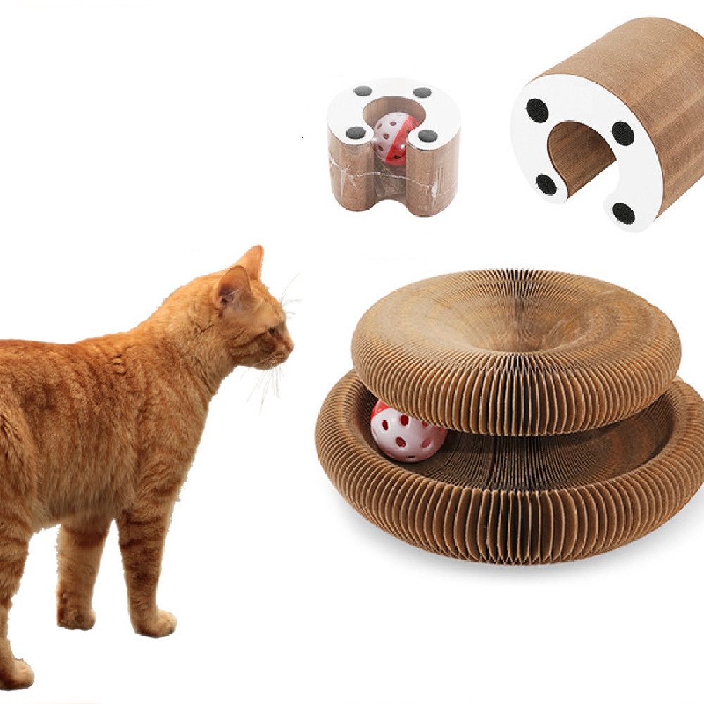Accordion Scratch Toy