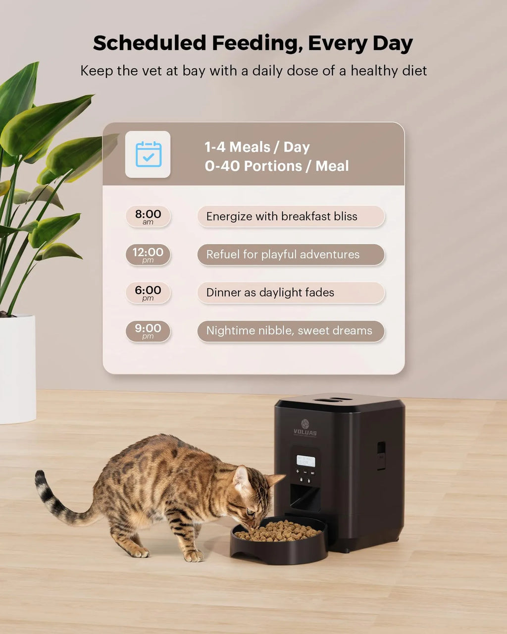 Smart Meal Pet Feeder