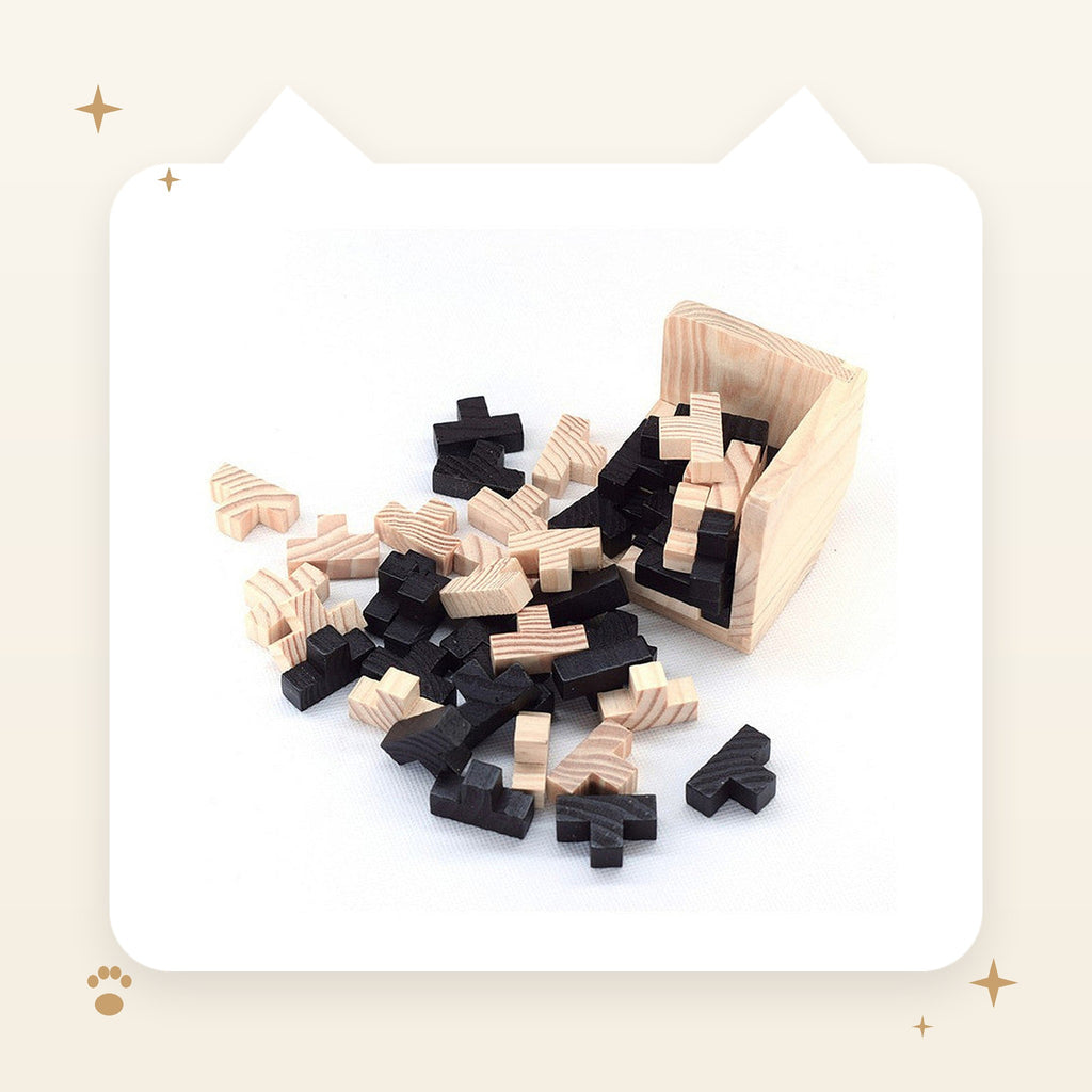 Wooden Lock Brain Teaser