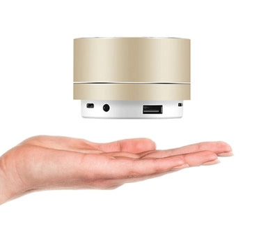 Mini Bluetooth Speaker