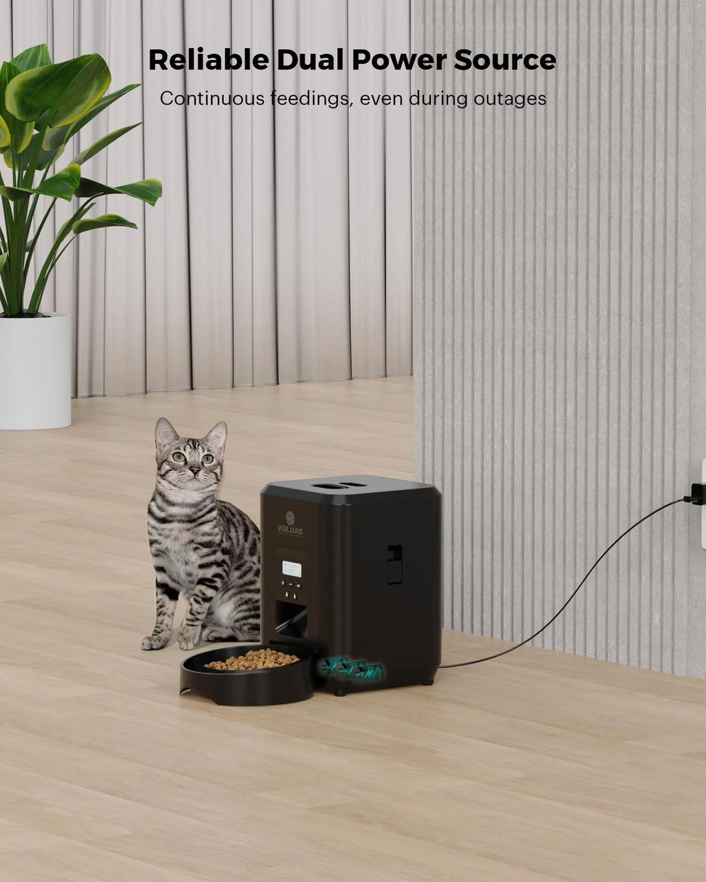 Smart Meal Pet Feeder