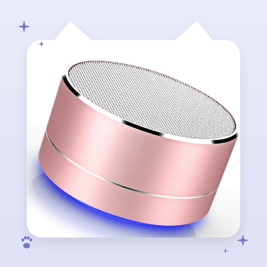 Mini Bluetooth Speaker