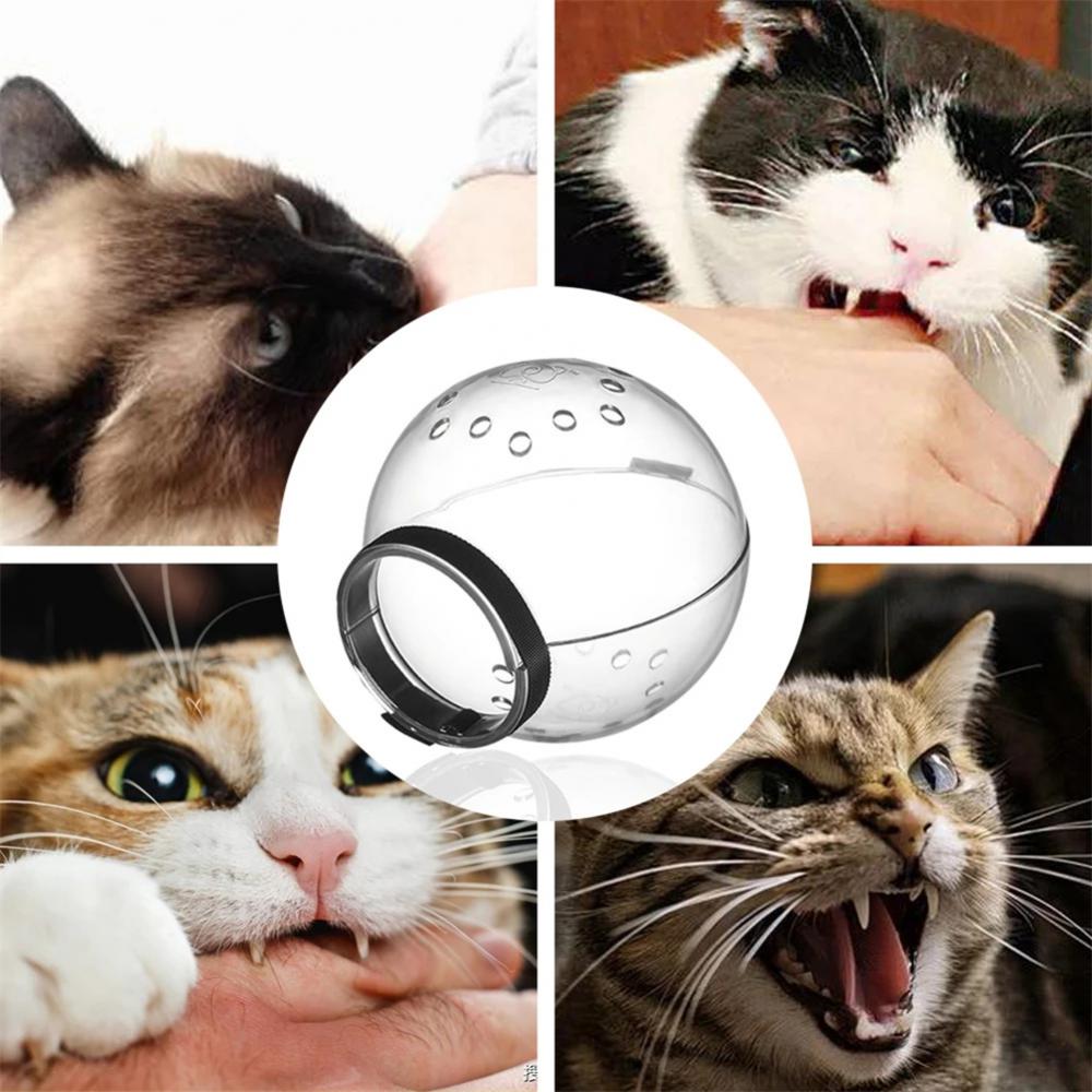Cat Grooming Space Helmet