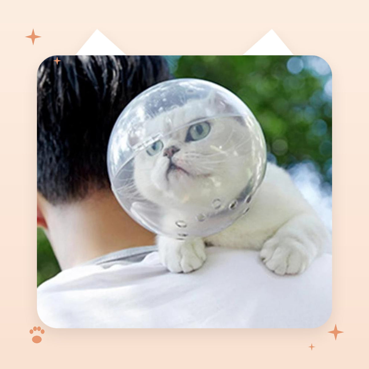 Cat Grooming Space Helmet