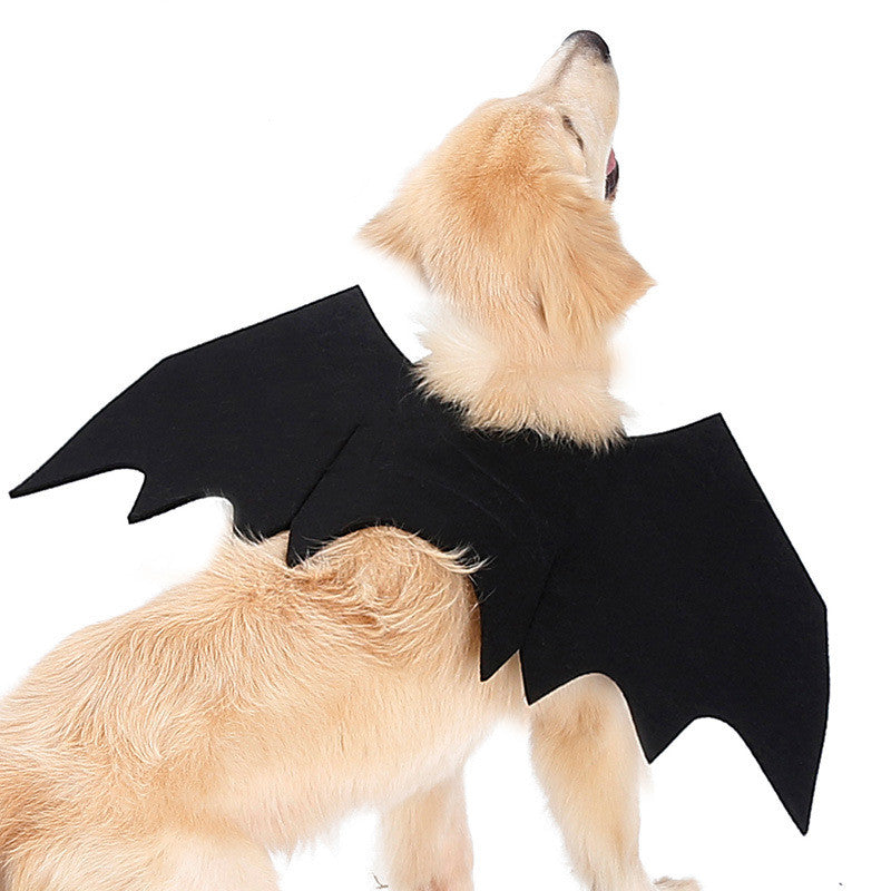 Bat Wings Pet Costume