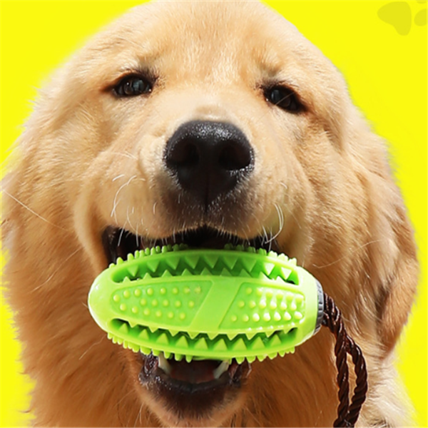 Treat Puzzle Chew Toy